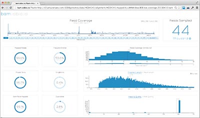 bam-iobio screen shot