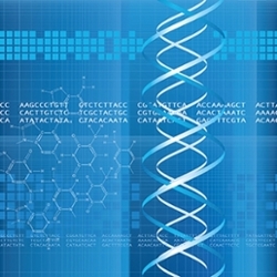 Gene mutation identified