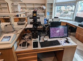 Genomic Discovery