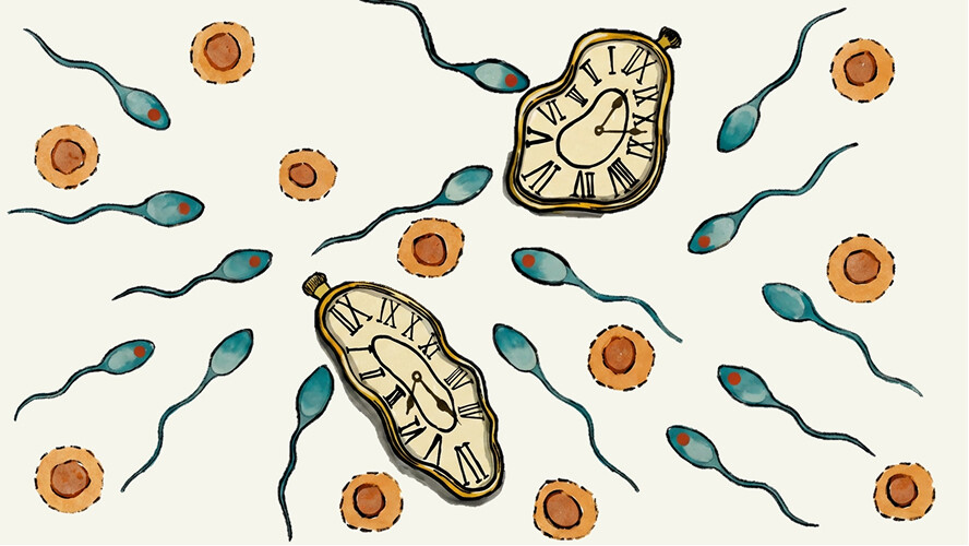 Understanding Mutations in Sperm